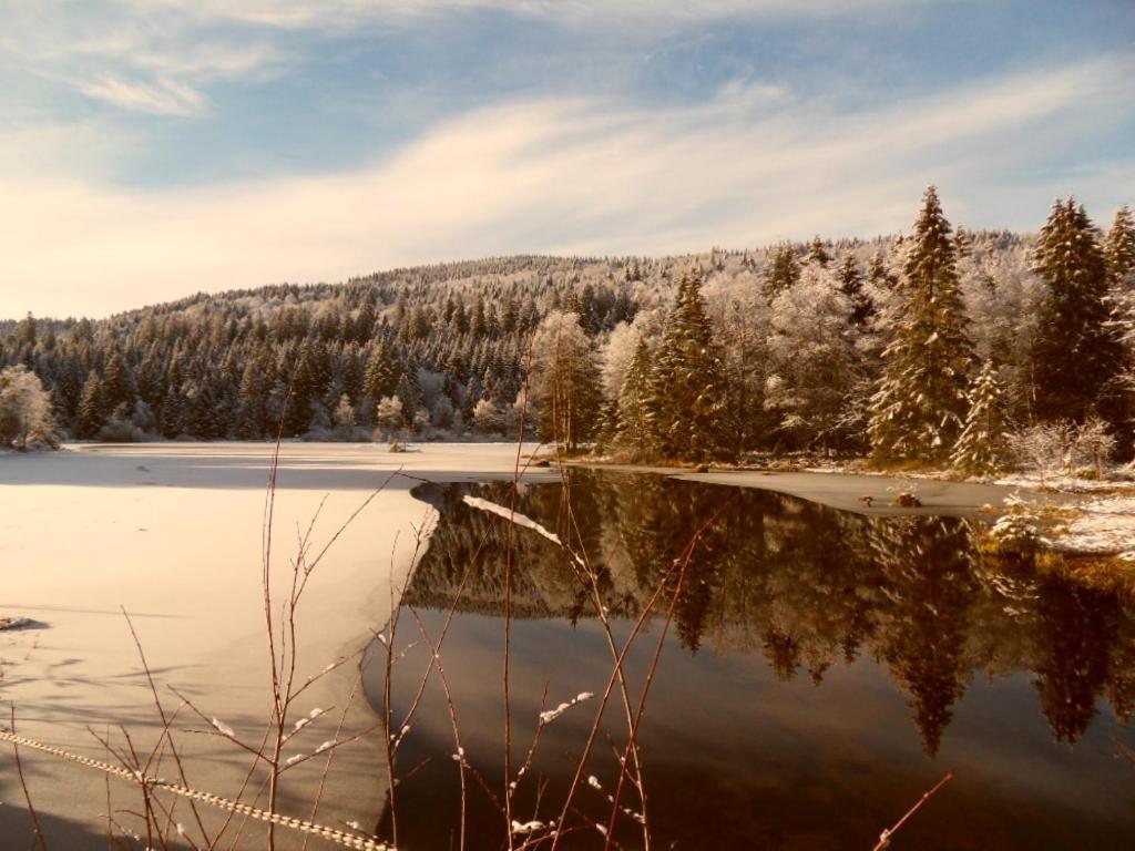 Apartmán Le Montagnard Gérardmer Exteriér fotografie